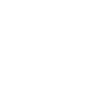 Natiomal Auto Auction Association Member
